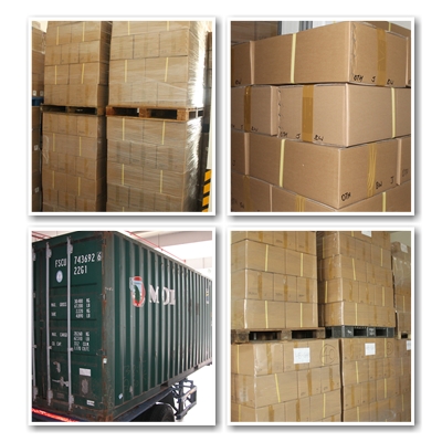 Warehouse Logistics